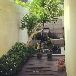 Pavilion Park (D23), Terrace #121599162